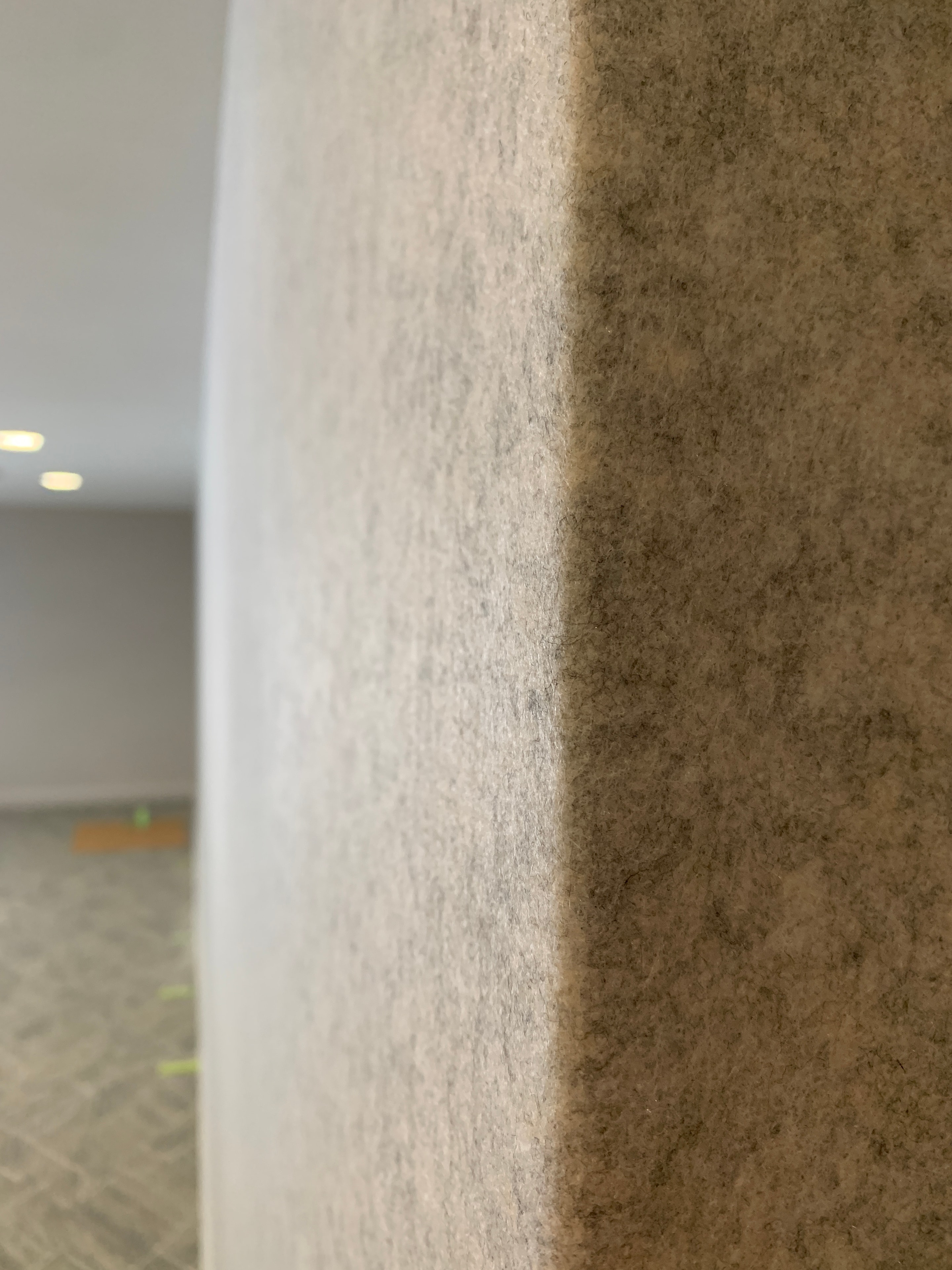 Felt Wallcovering